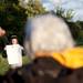 Nicholas Ray, 15, helps fly a kite with his grandmother at the Fly and Remember event at Gallup Park on Tuesday. Daniel Brenner I AnnArbor.com